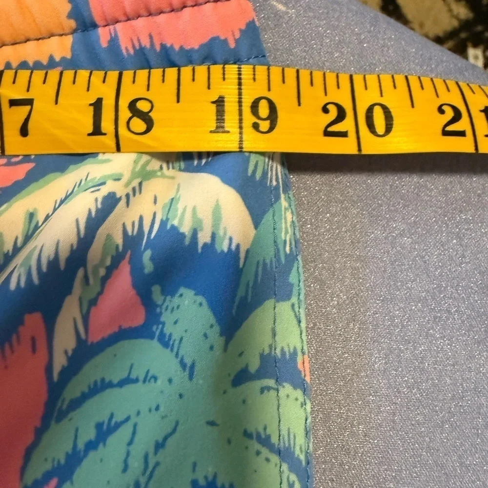 chubbies vibrant swim